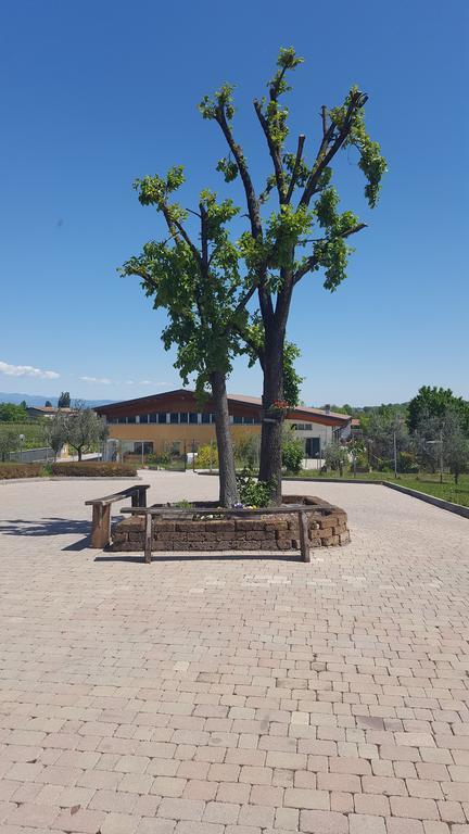 Albergo Quattro Pini San Martino della Battaglia Exterior foto